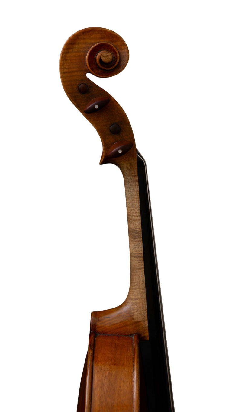 Orchester Cello Bild